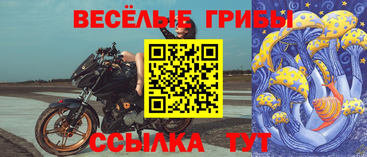 Новочеркасск  Галлюциногенные грибы прущие грибы  Вход с VPN  Псилоцибиновые грибы Cubensis 
