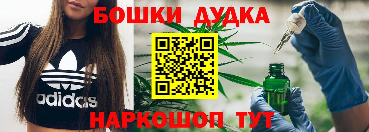 Бошки Шишки план Новочеркасск